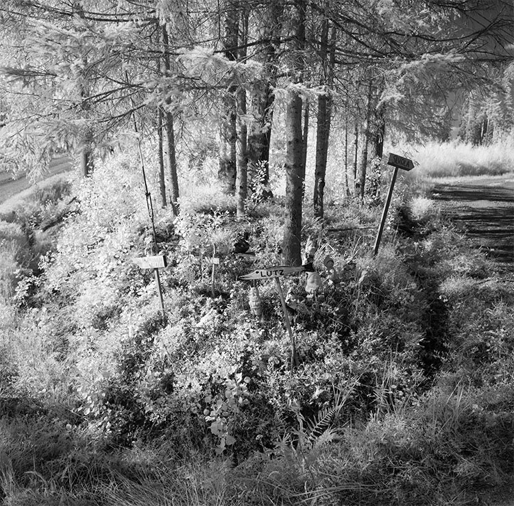 Infrared Photograph of House Signs at a Junction in Finnish Birch Forest